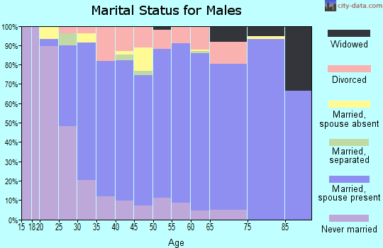 Zip code 44216 marital status for males