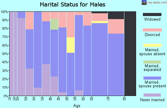 Zip code 44217 marital status for males