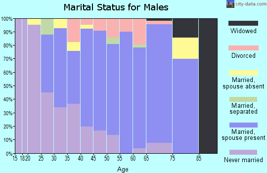 Zip code 44230 marital status for males