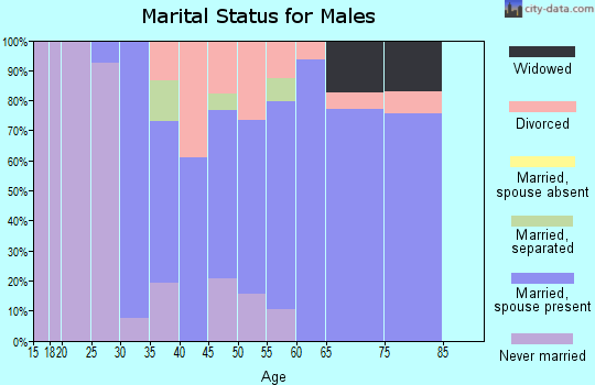 Zip code 44234 marital status for males