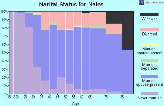 Zip code 44240 marital status for males
