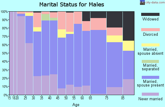 Zip code 44241 marital status for males