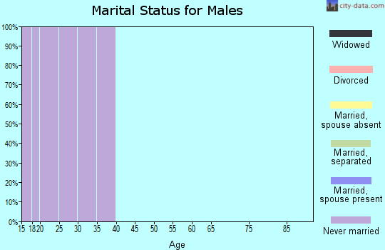 Zip code 44243 marital status for males