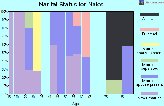 Zip code 44250 marital status for males
