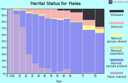 Zip code 44256 marital status for males