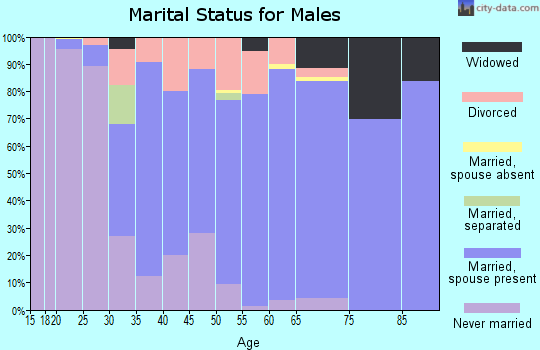 Zip code 44260 marital status for males