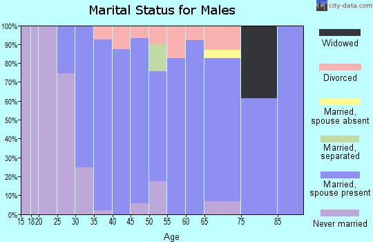 Zip code 44262 marital status for males