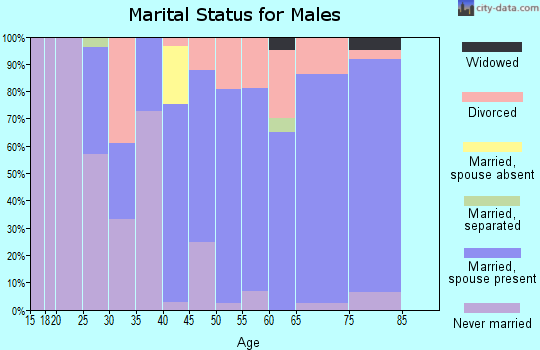 Zip code 44264 marital status for males