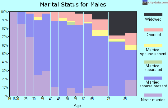 Zip code 44270 marital status for males