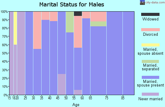 Zip code 44276 marital status for males
