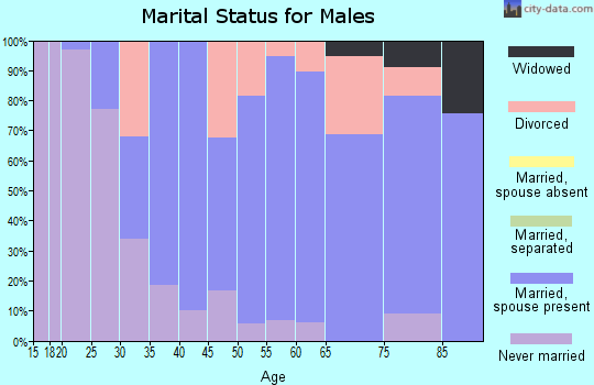 Zip code 44280 marital status for males