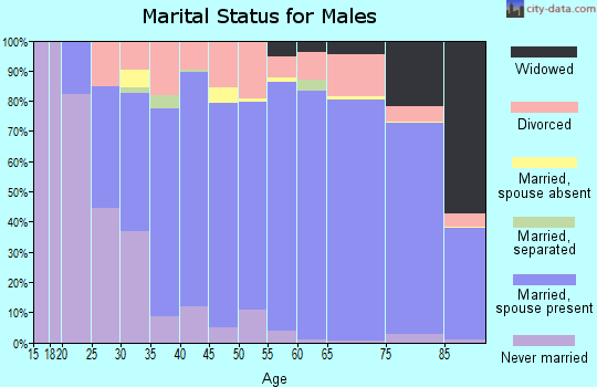 Zip code 44281 marital status for males