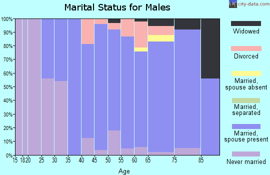 Zip code 44286 marital status for males