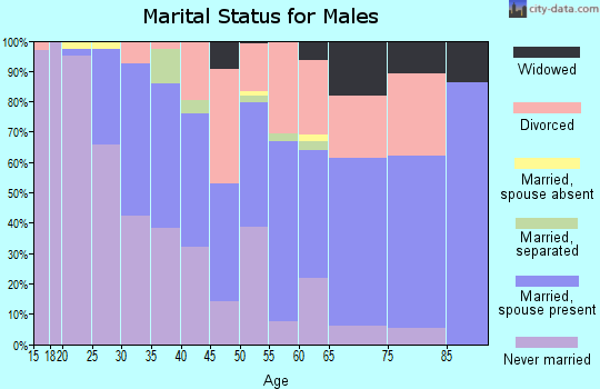 Zip code 44301 marital status for males