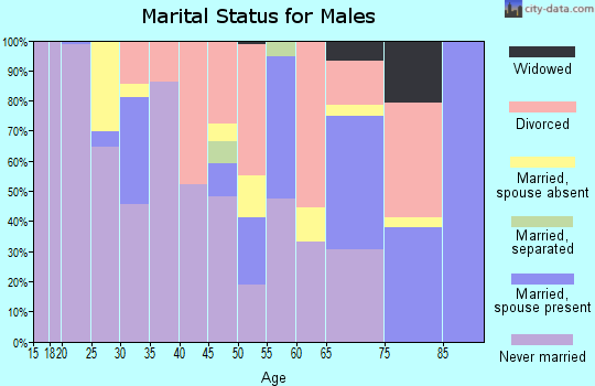 Zip code 44304 marital status for males