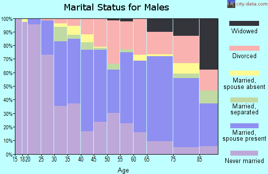 Zip code 44305 marital status for males
