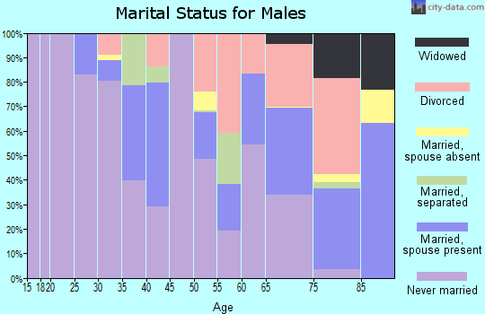 Zip code 44307 marital status for males