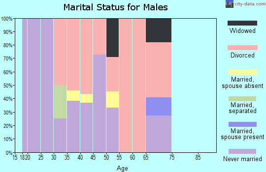 Zip code 44308 marital status for males