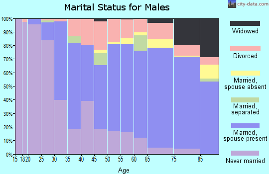 Zip code 44313 marital status for males