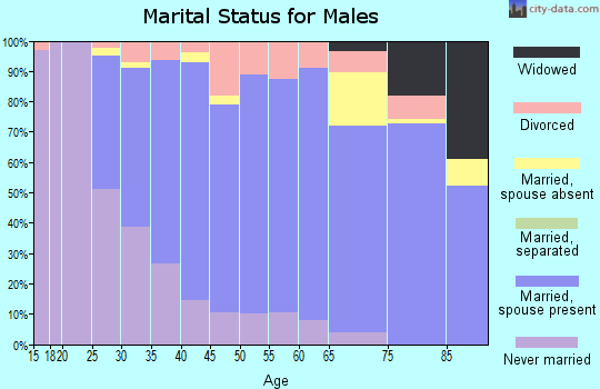 Zip code 44321 marital status for males
