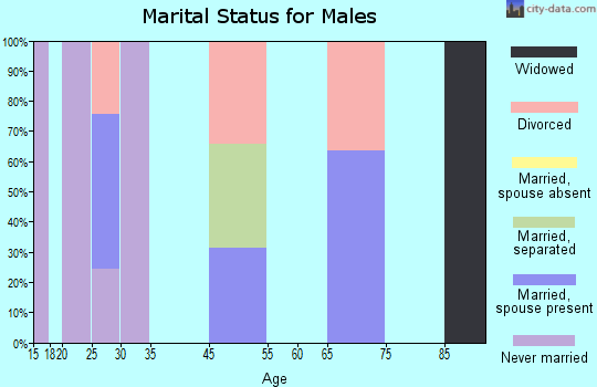Zip code 44322 marital status for males