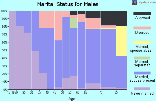 Zip code 44408 marital status for males