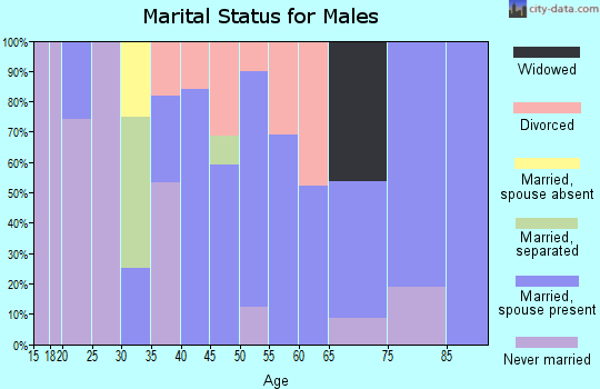 Zip code 44411 marital status for males