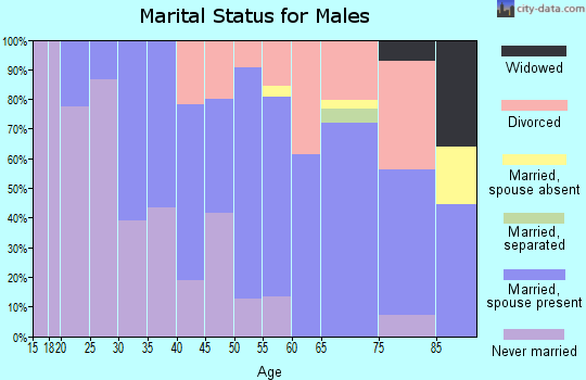 Zip code 44440 marital status for males