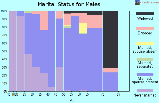 Zip code 44445 marital status for males