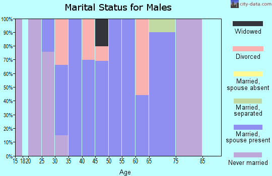 Zip code 44449 marital status for males