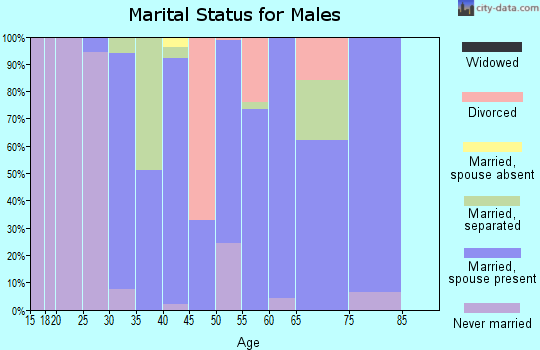 Zip code 44455 marital status for males