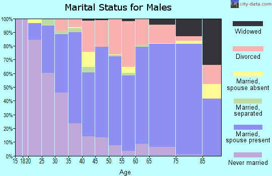 Zip code 44460 marital status for males
