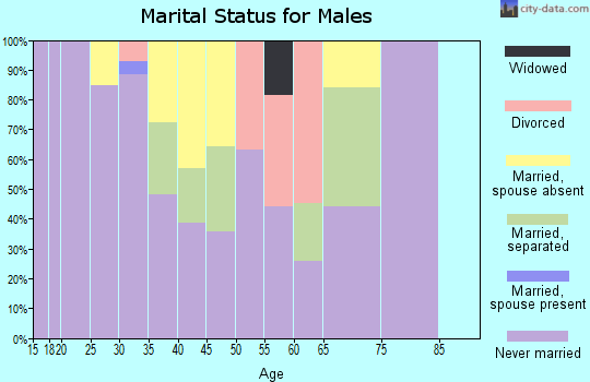 Zip code 44503 marital status for males