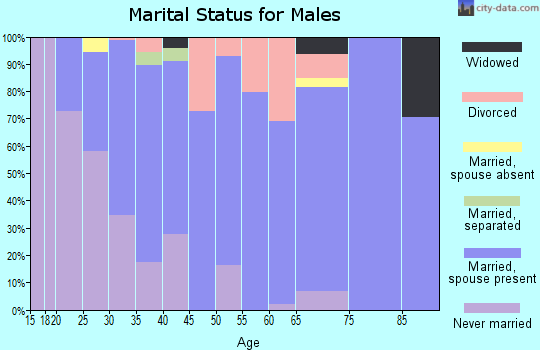Zip code 44606 marital status for males
