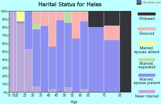 Zip code 44608 marital status for males