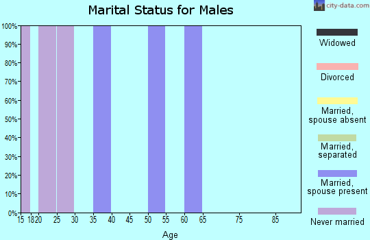 Zip code 44610 marital status for males