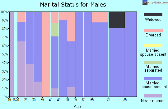 Zip code 44611 marital status for males