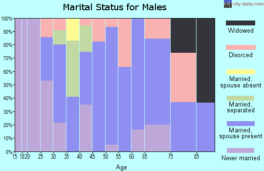 Zip code 44613 marital status for males