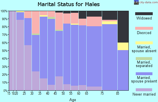 Zip code 44641 marital status for males