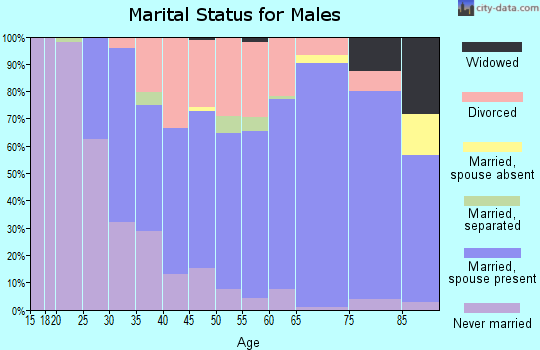 Zip code 44647 marital status for males