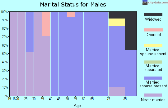 Zip code 44669 marital status for males