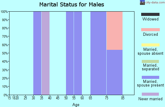 Zip code 44671 marital status for males