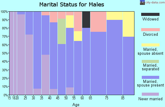 Zip code 44675 marital status for males