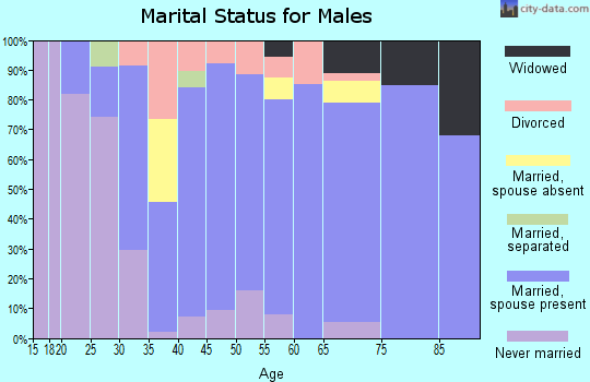 Zip code 44680 marital status for males