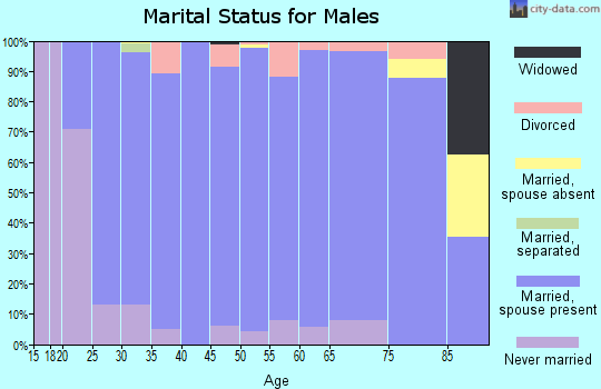 Zip code 44681 marital status for males