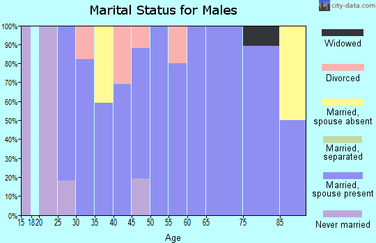 Zip code 44682 marital status for males