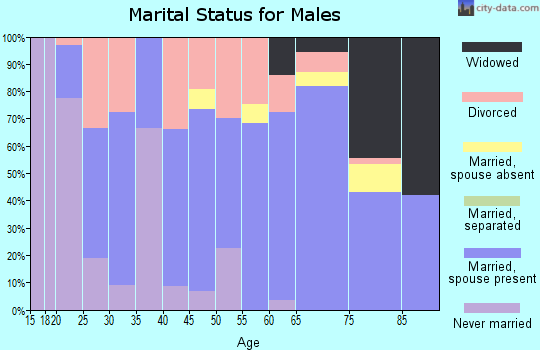 Zip code 44683 marital status for males