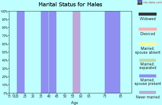Zip code 44690 marital status for males