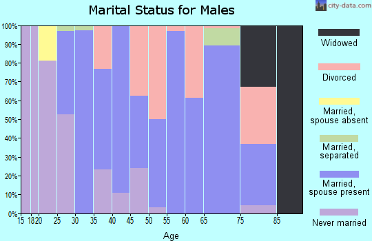 Zip code 44849 marital status for males