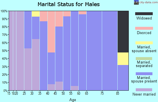 Zip code 44853 marital status for males